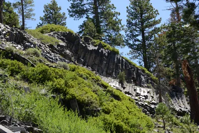 DSC_3679 (Large).JPG